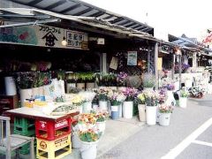 お花畑売店