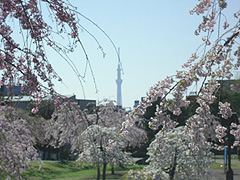 尾久の原公園