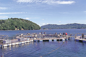 志津川フィッシングパーク