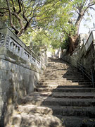 幣振坂