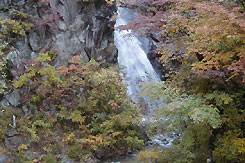 嵯峨塩館
