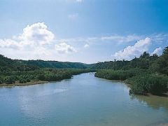 やんばる自然塾