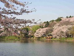 県立三ツ池公園