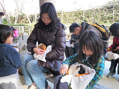 相模原麻溝公園