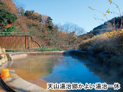 天山湯治郷かよい湯治一休