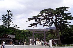 旧三の丸御殿奥書院