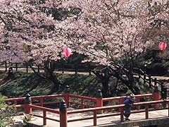 津偕楽公園