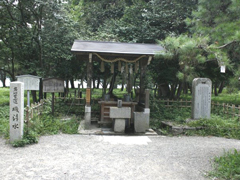 磯清水