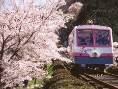 妙見ケーブル・リフト