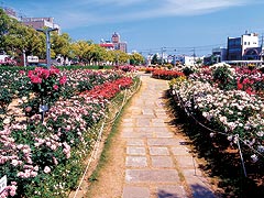 ばら公園
