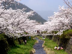 一の坂川