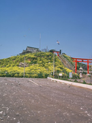蕪島
