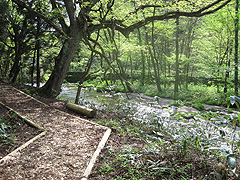 中滝森林セラピーロード