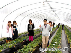 出会いの森いちご園